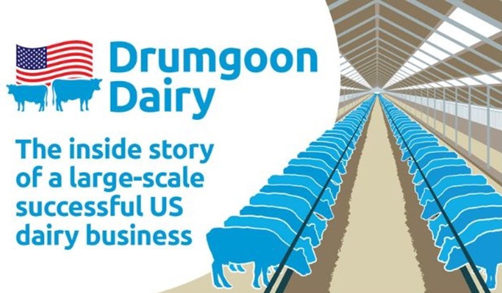 A large indoor dairy barn with rows of cows feeding, alongside the Drumgoon Dairy logo.